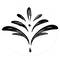 amapoladesign.com.ar favicon
