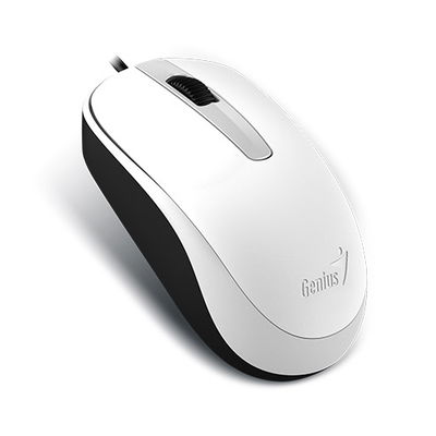 Mouse Genius Dx-120 Usb Blanco