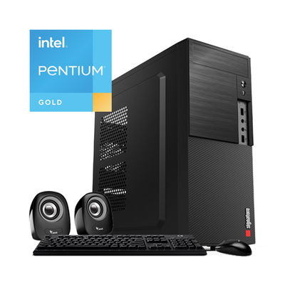 PC Intel Pentium Gold - 8GB RAM - SSD 240GB - WiFi