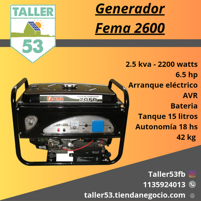 Generador Fema