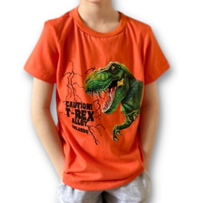 Remera Dino Caution Naranja