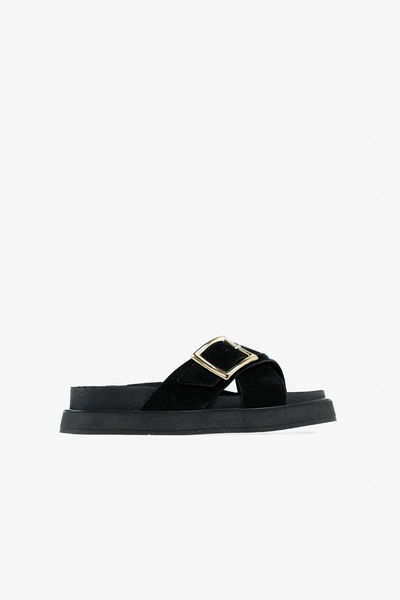 Manila Negro
