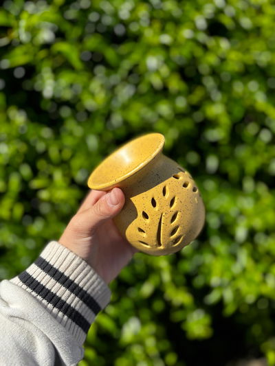 Hornillo chico saphirus