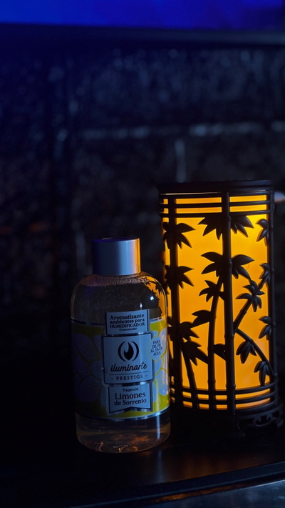 Humidificador palmera