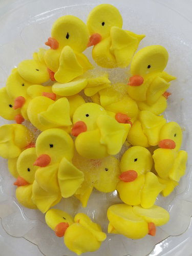 MINI PATITOS PASTILLAJE PASCUAS 