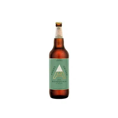 Andes 1L Ipa X1