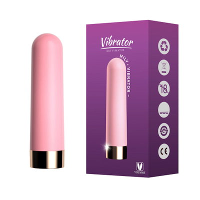 USB Bullet MILY VIBRATOR (10 func)