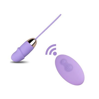 USB Egg Vibrador Inalambrico PENE CONTROL (10 func)