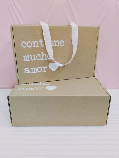BOLSA BOX GRANDE #1 (28x17x10) (x und)