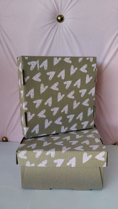 BOX TAPA #2 (20x20x10) (x und)