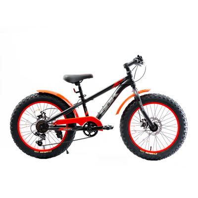 Bicicleta Fat R20 