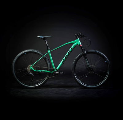 MTB ZION OVANTA 1x10 