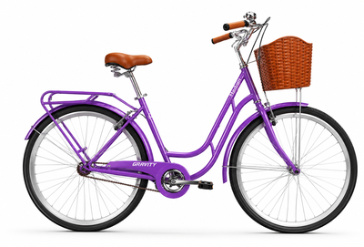 Bicicleta de Gravity de paseo R28