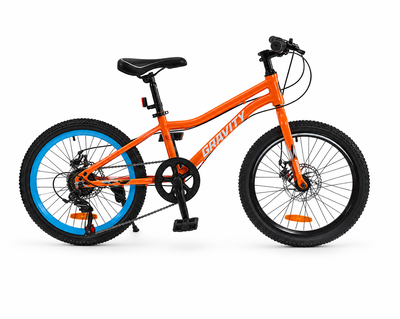 Bicicleta Gravity Roam R20