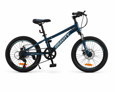 Bicicleta Gravity Roam R20 suspensión