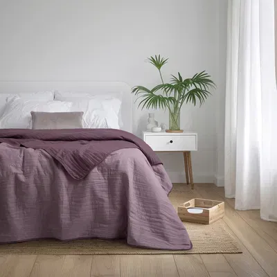 Cover Acapulco Uva  2 1/2 pl 