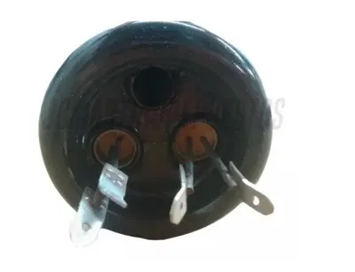 Resistencia Termotanque Eléctrico Longvie Te3040/60 Original