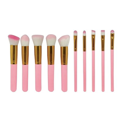 Set Kabuki de 10 Brochas