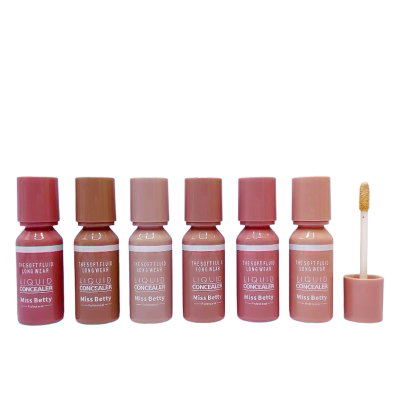 Corrector Liquido HD Waterproof