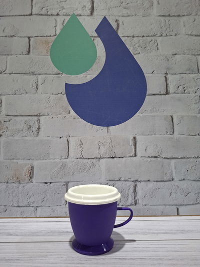 MATE TERMICO CON ASA BAZAR