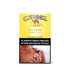 CAMEL BOX 12