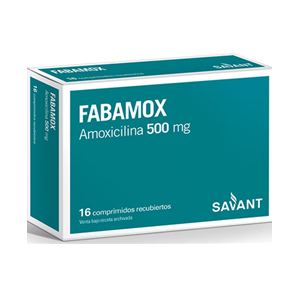 AMOXICILINA 500 MG X 8 COMP.