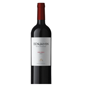 VINO BENJAMIN MALBEC 750ML