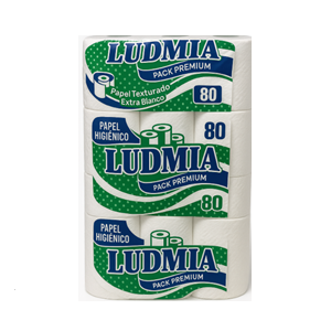 PAPEL HIGIENICO C80 BOLSON X 30 U