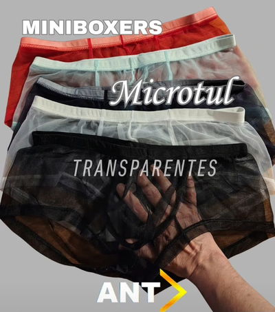 Miniboxer transparente 