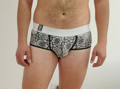 Microboxer Arabian 