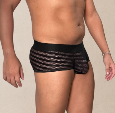Microboxer Ciro