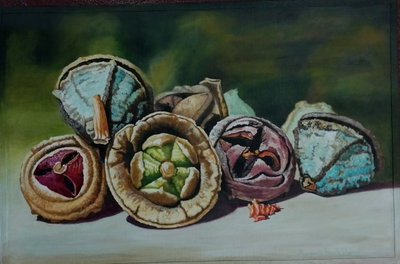 "GEOMETRIAS ORGANICAS"