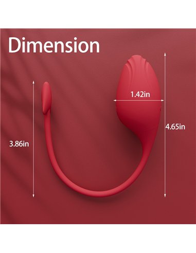 VIBRADOR SUCCUBUS - USB + APP