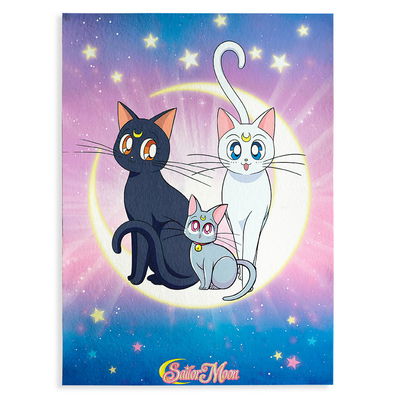 Alfombra Sailor Moon 2