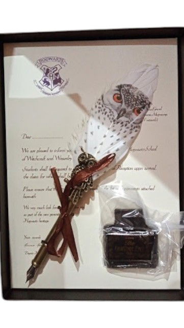 HARRY POTTER SET DE PLUMA 3
