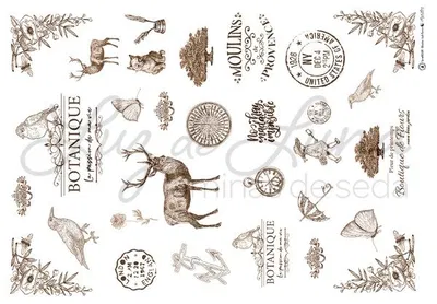 Luz de luna Se XXL 09