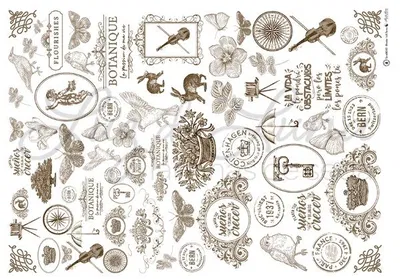 Luz de luna Se XXL 02