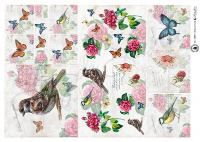 Luz de luna Gar XXL 05