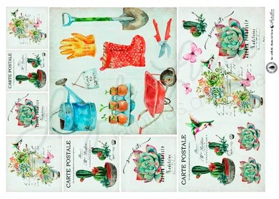 Luz de luna Gar XXL 06