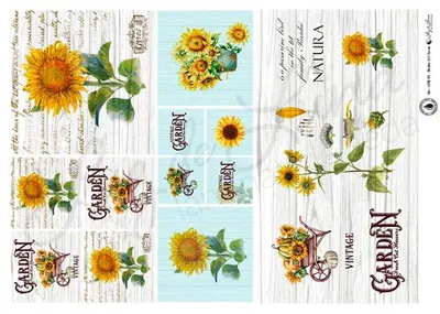 Luz de luna Gar XXL 04