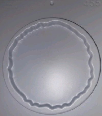 Molde termoformado bandeja 455 Cemento Yeso y resina acrolica