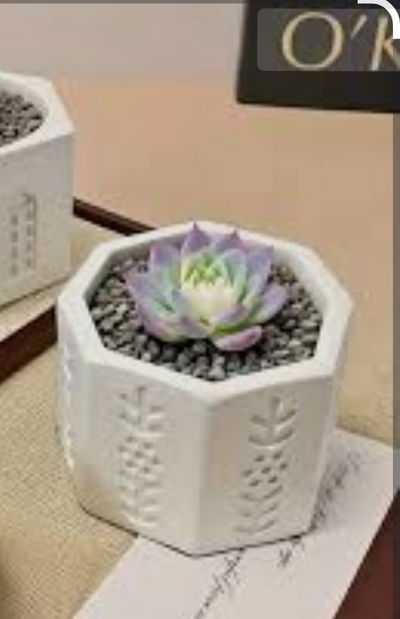 Molde de silicona maceta con flor Velas, Cemento, Resina y Yeso