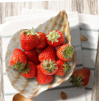 Molde de silicona caracol plato 4167 Velas, Cemento, Resina y Yeso