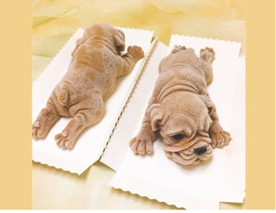 Molde de silicona perrito acostado   Velas, Cemento, Resina y Yeso