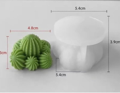 Molde de silicona cactus c 