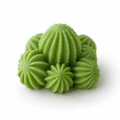 Molde de silicona cactus c 
