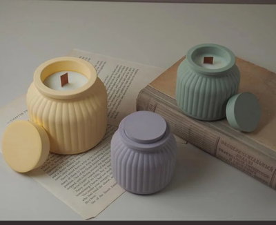 Molde de silicona contenedor con tapa xl