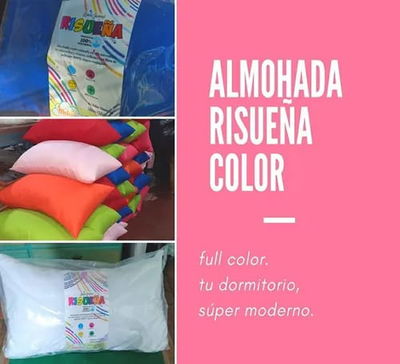 ALMOHADA DE COLORES 70X40CM.