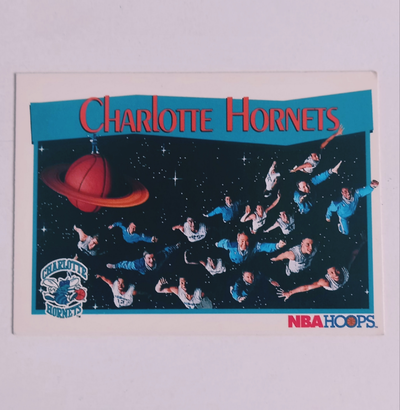 CHARLOTTE HORNETS Hoops 1991