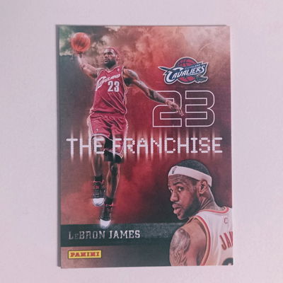 LEBRON JAMES Panini 2009 The Franchise